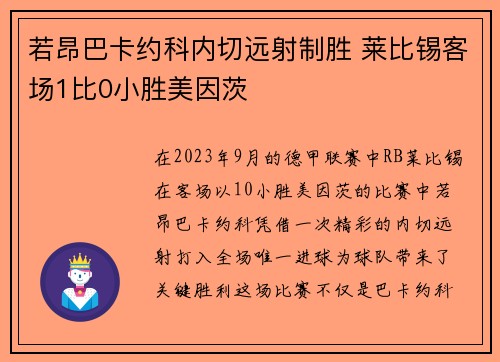 若昂巴卡约科内切远射制胜 莱比锡客场1比0小胜美因茨